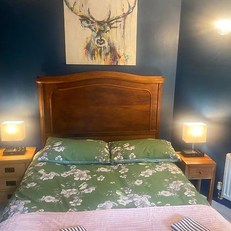 Quiet Lower Floor 2 Bed City Apartment With Private Patio Garden バース エクステリア 写真