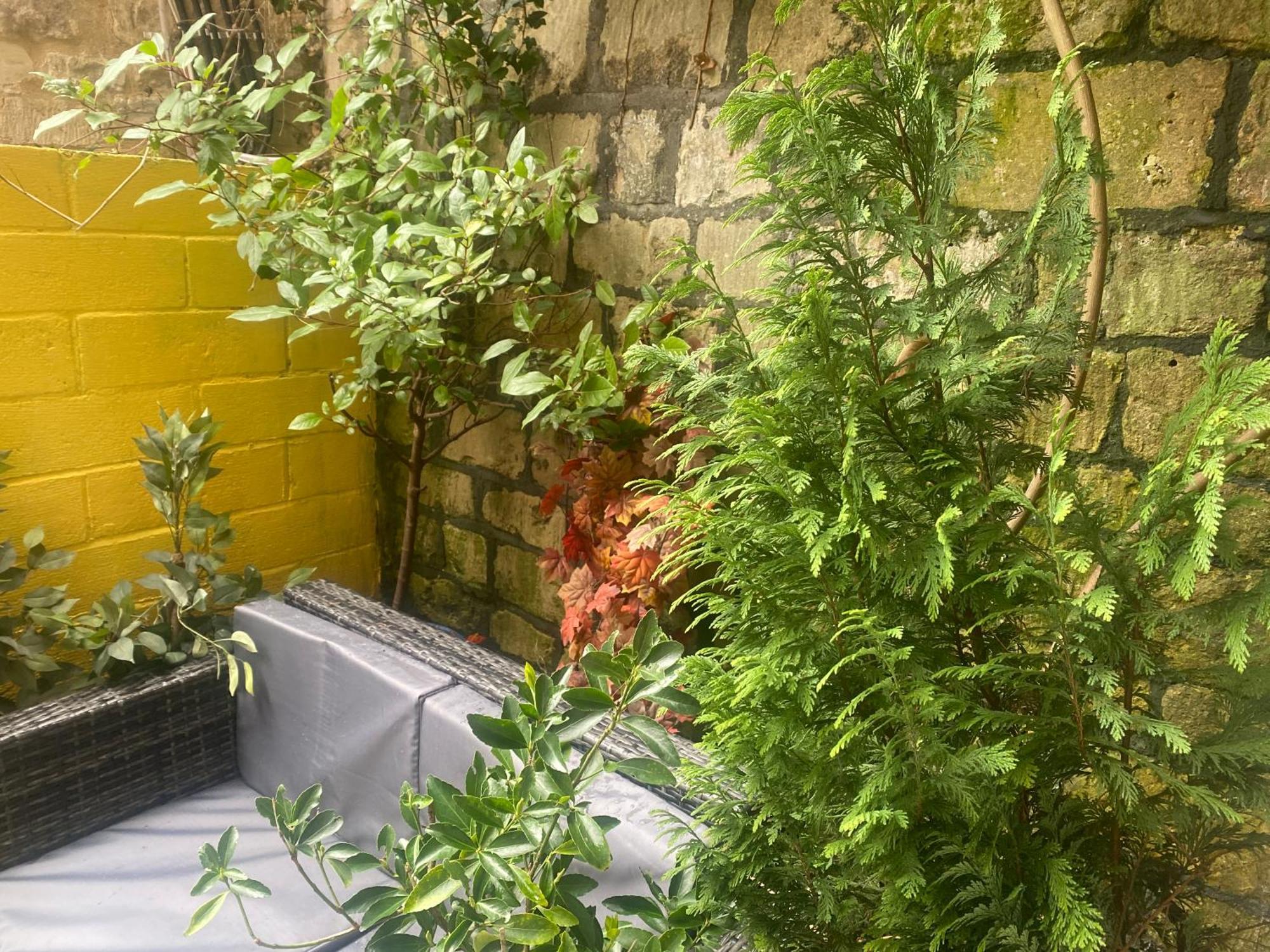 Quiet Lower Floor 2 Bed City Apartment With Private Patio Garden バース エクステリア 写真